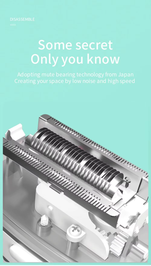 Display image of the internal structure of the shaver head